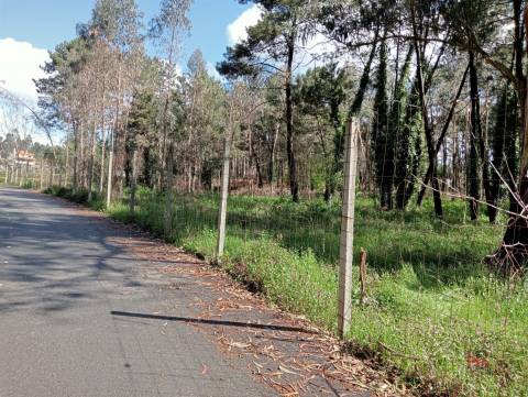 Terreno Misto  Venda em Fornos,Santa Maria da Feira