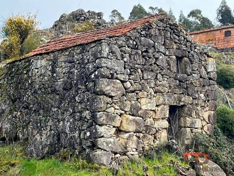Terreno  Venda em São João da Serra,Oliveira de Frades