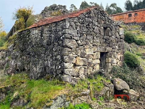 Terreno  Venda em São João da Serra,Oliveira de Frades