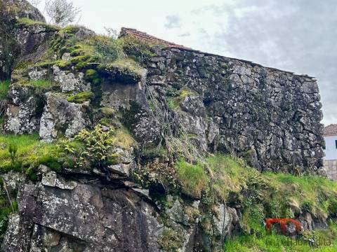 Terreno  Venda em São João da Serra,Oliveira de Frades