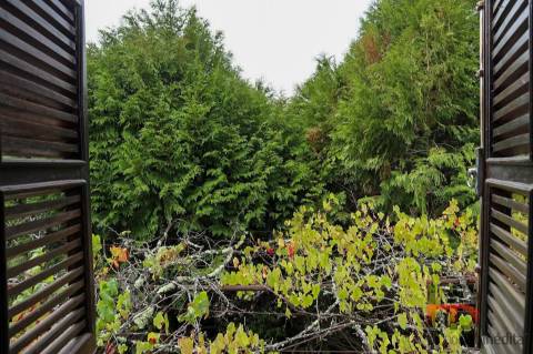 Quinta T2 Venda em Baião (Santa Leocádia) e Mesquinhata,Baião