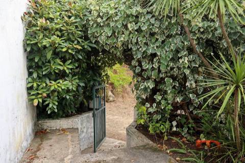 Quinta T2 Venda em Baião (Santa Leocádia) e Mesquinhata,Baião