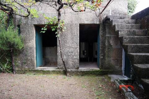 Quinta T2 Venda em Baião (Santa Leocádia) e Mesquinhata,Baião