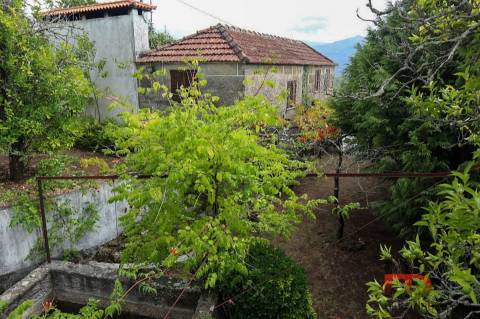 Quinta T2 Venda em Baião (Santa Leocádia) e Mesquinhata,Baião