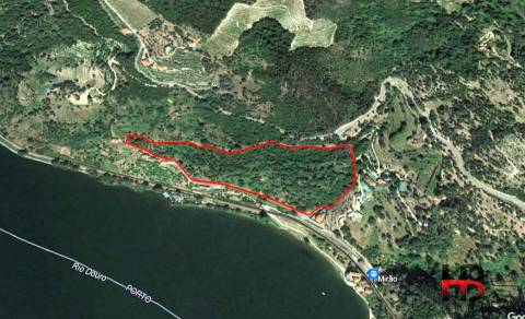 Quinta T5 Venda em Santa Cruz do Douro e São Tomé de Covelas,Baião