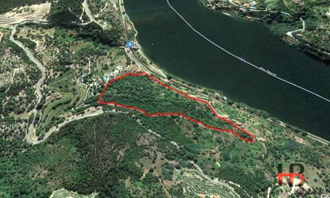 Quinta T5 Venda em Santa Cruz do Douro e São Tomé de Covelas,Baião