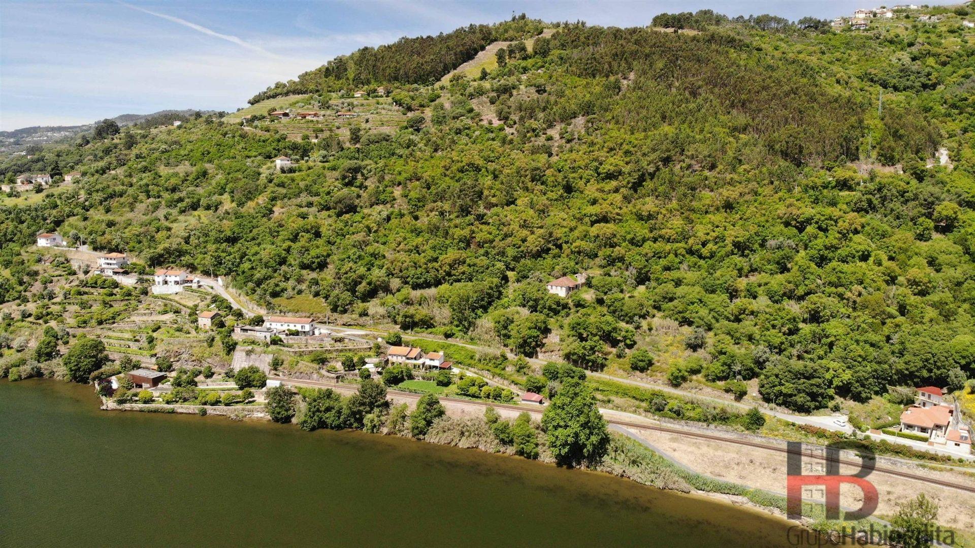Quinta T5 Venda em Santa Cruz do Douro e São Tomé de Covelas,Baião
