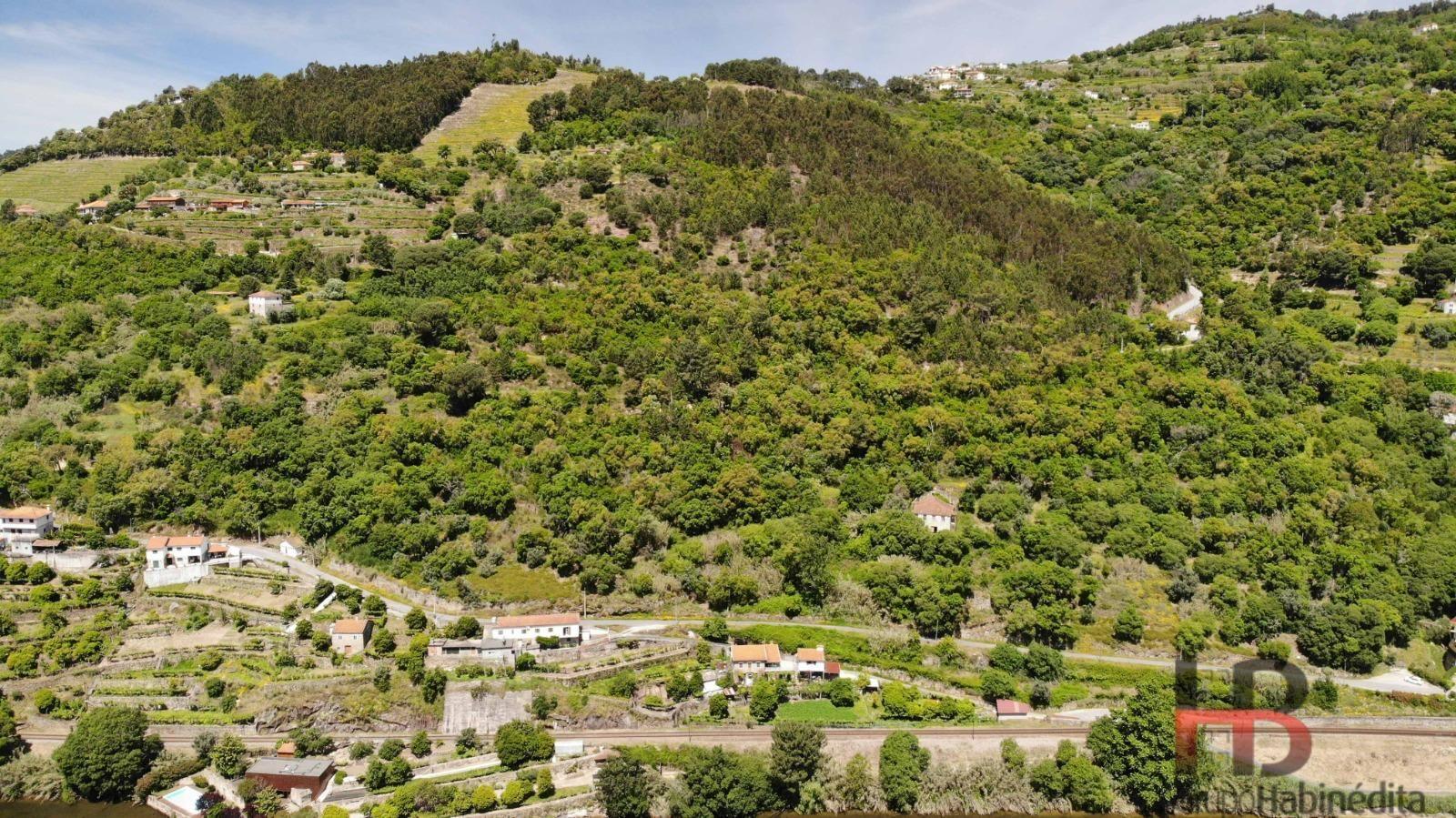 Quinta T5 Venda em Santa Cruz do Douro e São Tomé de Covelas,Baião