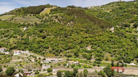 Quinta T5 Venda em Santa Cruz do Douro e São Tomé de Covelas,Baião