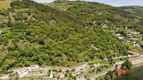 Quinta T5 Venda em Santa Cruz do Douro e São Tomé de Covelas,Baião