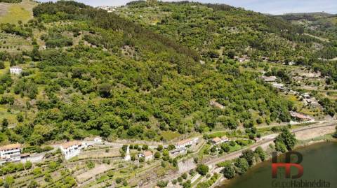 Quinta T5 Venda em Santa Cruz do Douro e São Tomé de Covelas,Baião