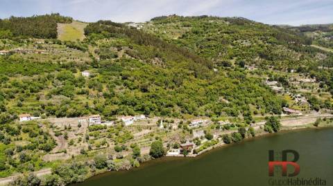 Quinta T5 Venda em Santa Cruz do Douro e São Tomé de Covelas,Baião