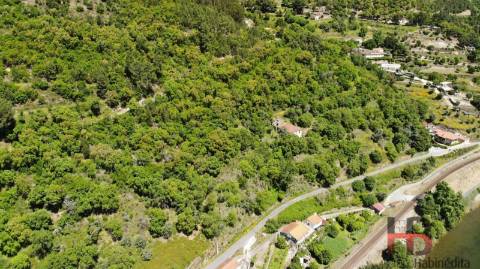 Quinta T5 Venda em Santa Cruz do Douro e São Tomé de Covelas,Baião