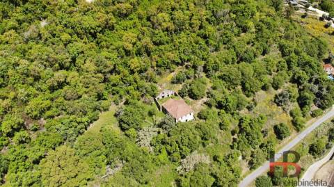 Quinta T5 Venda em Santa Cruz do Douro e São Tomé de Covelas,Baião