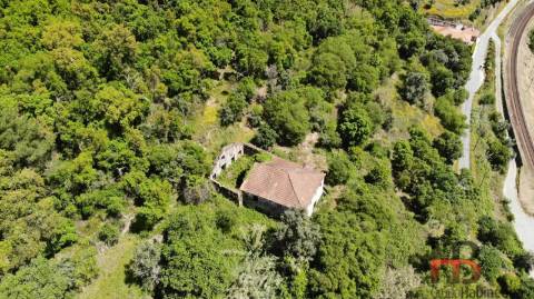 Quinta T5 Venda em Santa Cruz do Douro e São Tomé de Covelas,Baião