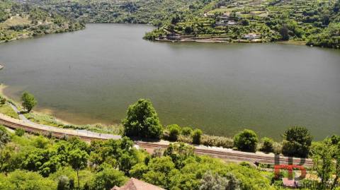 Quinta T5 Venda em Santa Cruz do Douro e São Tomé de Covelas,Baião