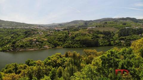 Quinta T5 Venda em Santa Cruz do Douro e São Tomé de Covelas,Baião