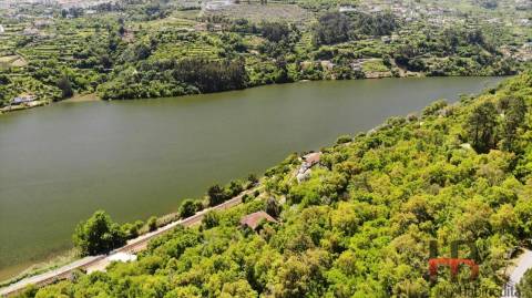 Quinta T5 Venda em Santa Cruz do Douro e São Tomé de Covelas,Baião