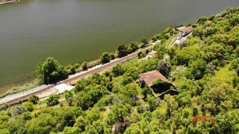 Quinta T5 Venda em Santa Cruz do Douro e São Tomé de Covelas,Baião