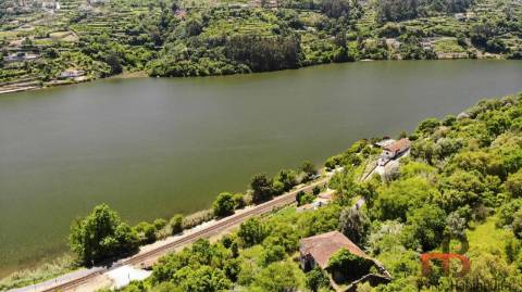 Quinta T5 Venda em Santa Cruz do Douro e São Tomé de Covelas,Baião
