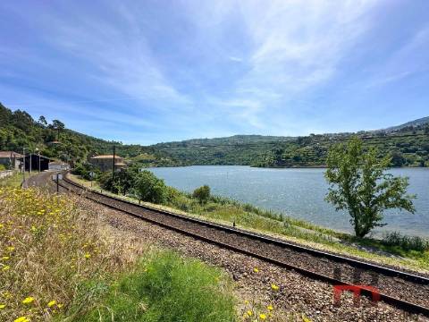 Quinta T5 Venda em Santa Cruz do Douro e São Tomé de Covelas,Baião