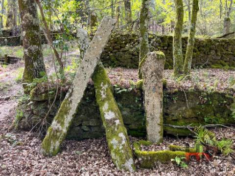 Quintinha T2 Venda em Cambra e Carvalhal de Vermilhas,Vouzela