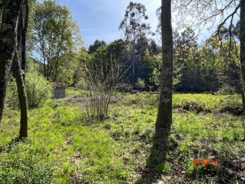 Quintinha T2 Venda em Cambra e Carvalhal de Vermilhas,Vouzela