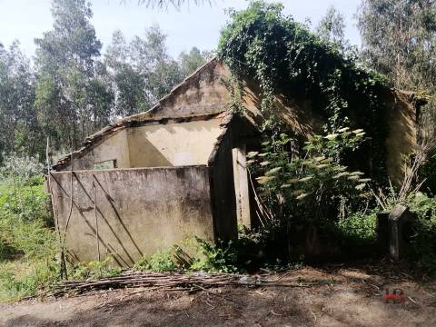 Moradia Devoluta T2 Venda em São Miguel do Souto e Mosteirô,Santa Maria da Feira