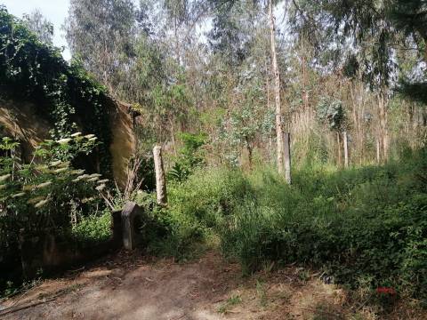 Moradia Devoluta T2 Venda em São Miguel do Souto e Mosteirô,Santa Maria da Feira