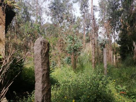 Moradia Devoluta T2 Venda em São Miguel do Souto e Mosteirô,Santa Maria da Feira