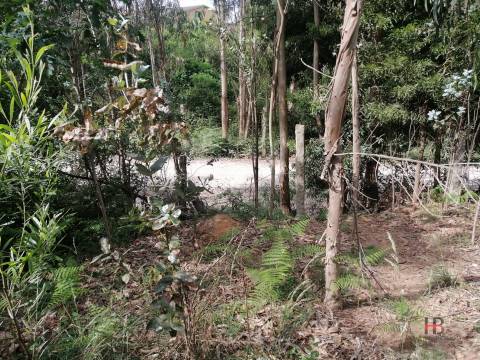 Moradia Devoluta T2 Venda em São Miguel do Souto e Mosteirô,Santa Maria da Feira