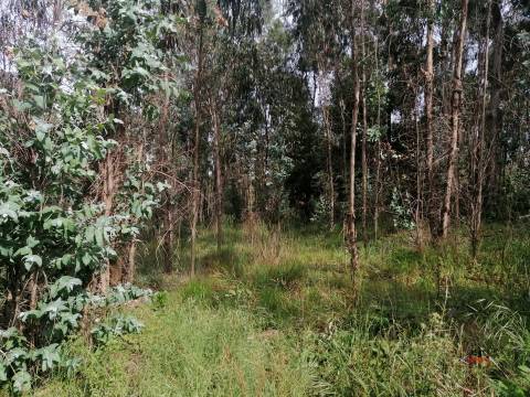 Moradia Devoluta T2 Venda em São Miguel do Souto e Mosteirô,Santa Maria da Feira