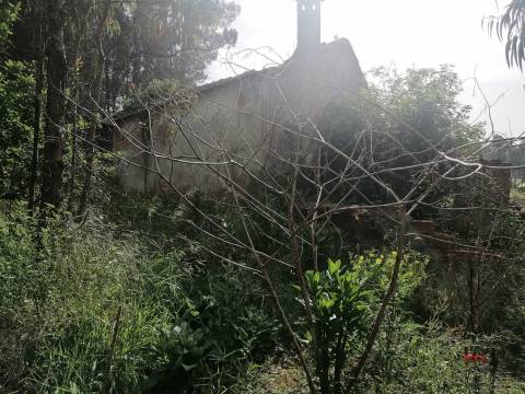 Moradia Devoluta T2 Venda em São Miguel do Souto e Mosteirô,Santa Maria da Feira