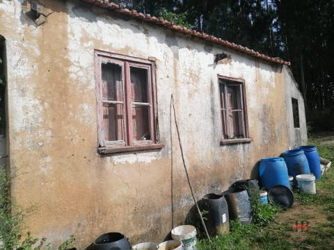 Moradia Devoluta T2 Venda em São Miguel do Souto e Mosteirô,Santa Maria da Feira