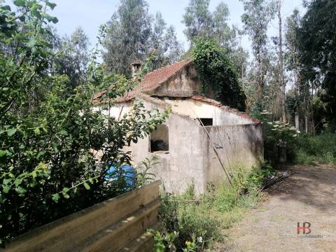 Moradia Devoluta T2 Venda em São Miguel do Souto e Mosteirô,Santa Maria da Feira