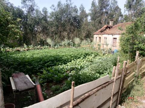 Moradia Devoluta T2 Venda em São Miguel do Souto e Mosteirô,Santa Maria da Feira