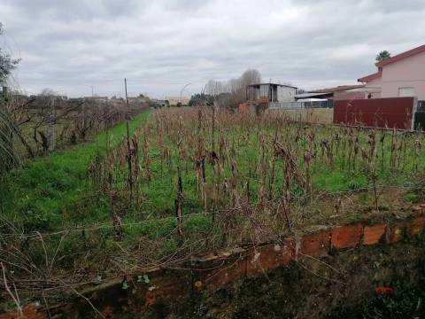 Terreno Para Construção  Venda em Ovar, São João, Arada e São Vicente de Pereira Jusã,Ovar