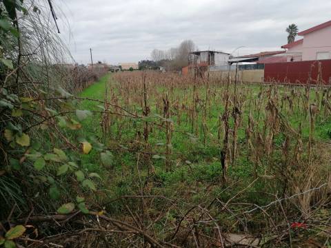 Terreno Para Construção  Venda em Ovar, São João, Arada e São Vicente de Pereira Jusã,Ovar