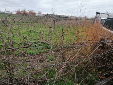 Terreno Para Construção  Venda em Ovar, São João, Arada e São Vicente de Pereira Jusã,Ovar