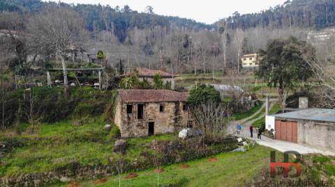 Moradia Rústica T3 Venda em Rossas,Arouca