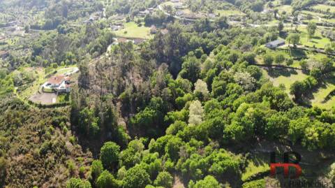 Moradia para Restaurar T2 Venda em Rio Douro,Cabeceiras de Basto