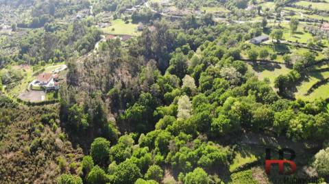 Moradia para Restaurar T2 Venda em Rio Douro,Cabeceiras de Basto