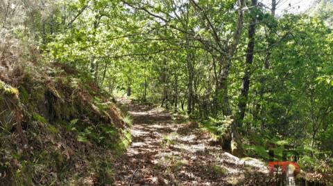 Moradia para Restaurar T2 Venda em Rio Douro,Cabeceiras de Basto