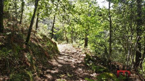 Moradia para Restaurar T2 Venda em Rio Douro,Cabeceiras de Basto