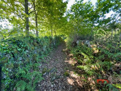 Moradia para Restaurar T2 Venda em Rio Douro,Cabeceiras de Basto