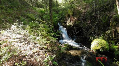 Quinta T2 Venda em Rio Douro,Cabeceiras de Basto