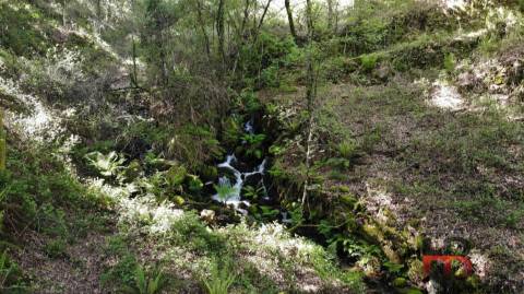 Quinta T2 Venda em Rio Douro,Cabeceiras de Basto