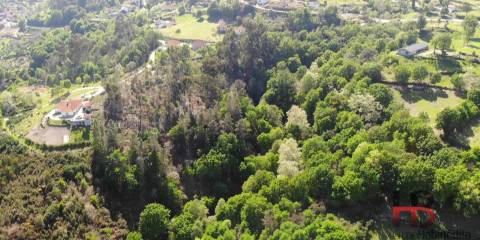 Quinta T2 Venda em Rio Douro,Cabeceiras de Basto