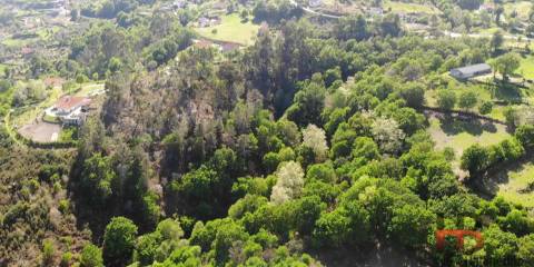 Quinta T2 Venda em Rio Douro,Cabeceiras de Basto