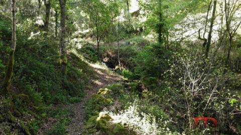 Quinta T2 Venda em Rio Douro,Cabeceiras de Basto